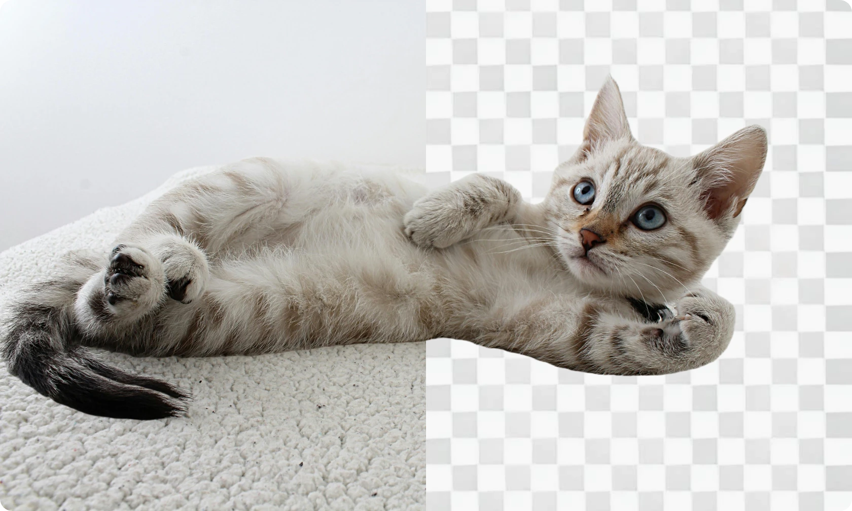 background_remover6@2x